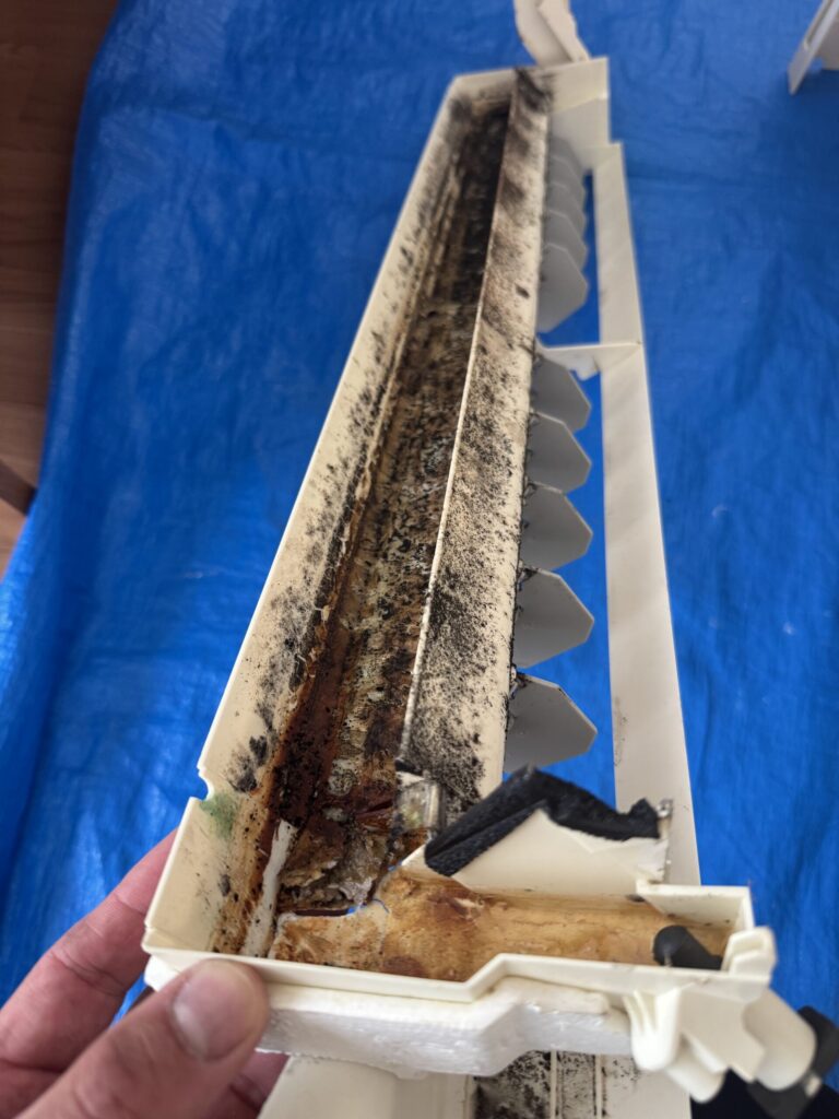 黒カビとサビがたまったドレンパンの内部